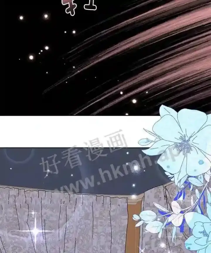 《龙套大公子妃的花路人生》6.两人相见图117
