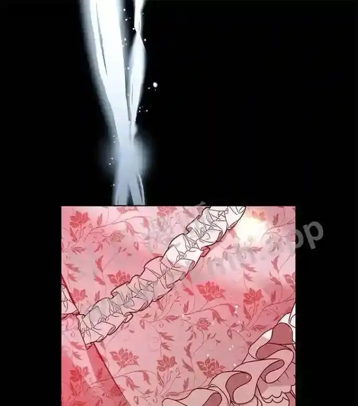 《龙套大公子妃的花路人生》6.两人相见图13