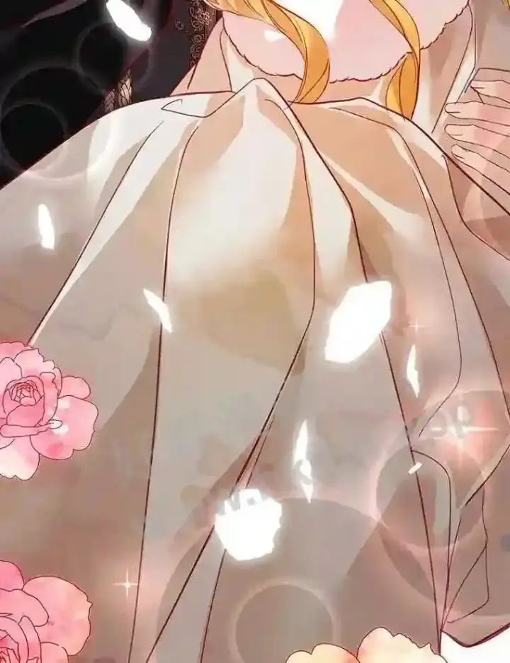 《龙套大公子妃的花路人生》6.两人相见图136