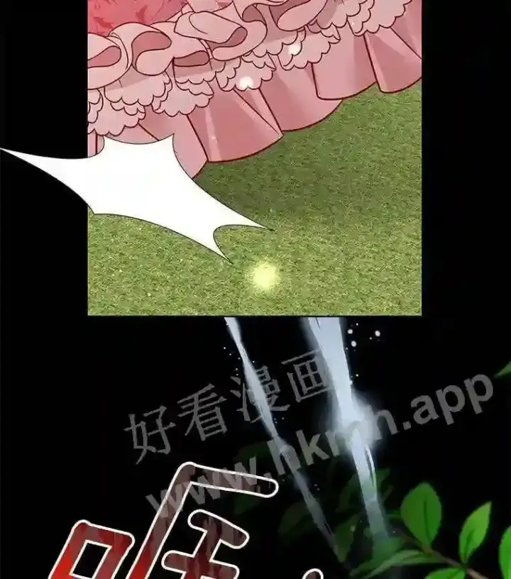 《龙套大公子妃的花路人生》6.两人相见图14