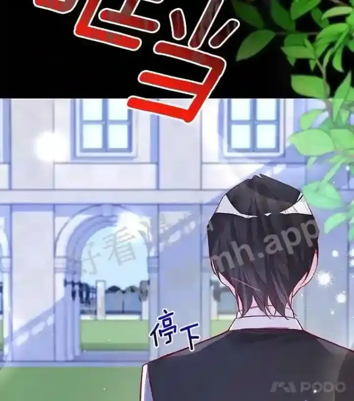 《龙套大公子妃的花路人生》6.两人相见图15