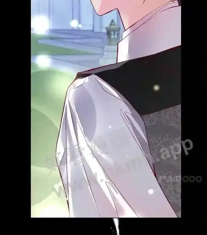 《龙套大公子妃的花路人生》6.两人相见图18
