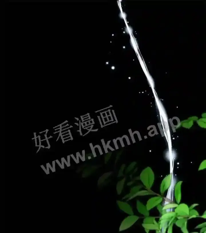 《龙套大公子妃的花路人生》6.两人相见图19