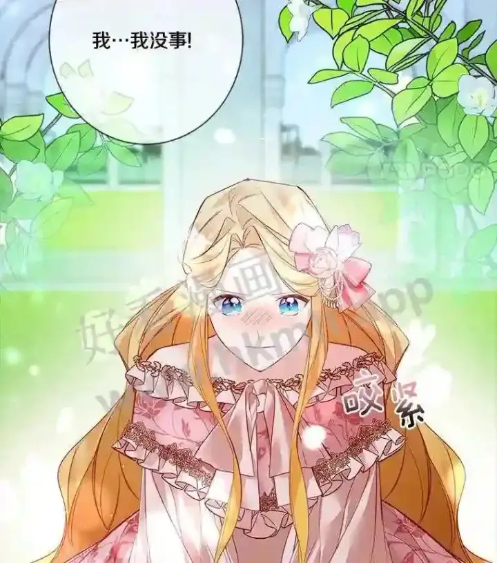 《龙套大公子妃的花路人生》6.两人相见图26