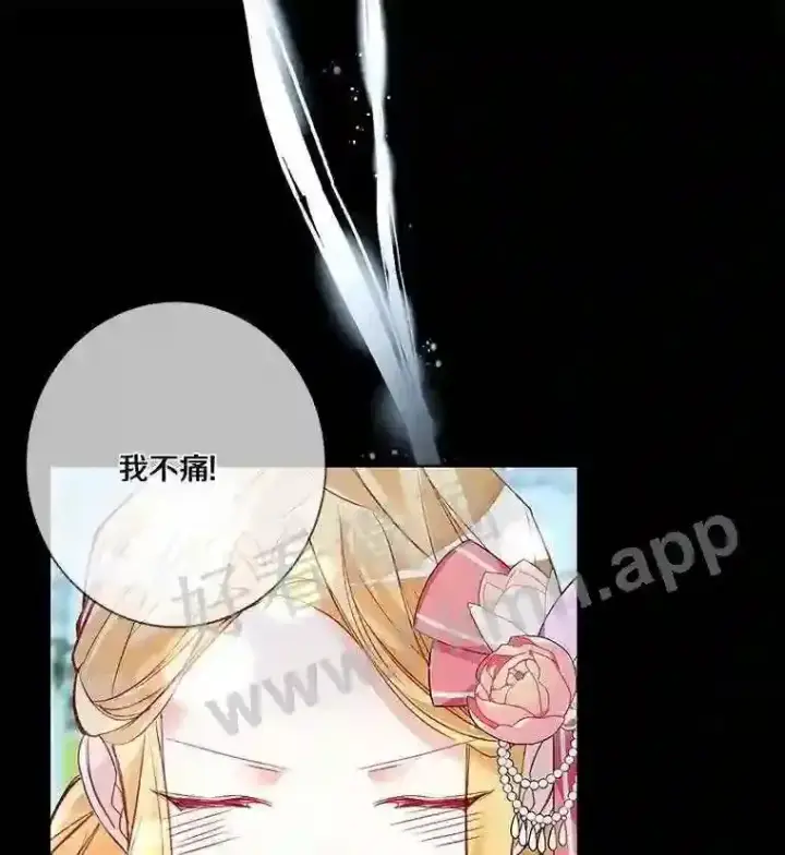 《龙套大公子妃的花路人生》6.两人相见图31