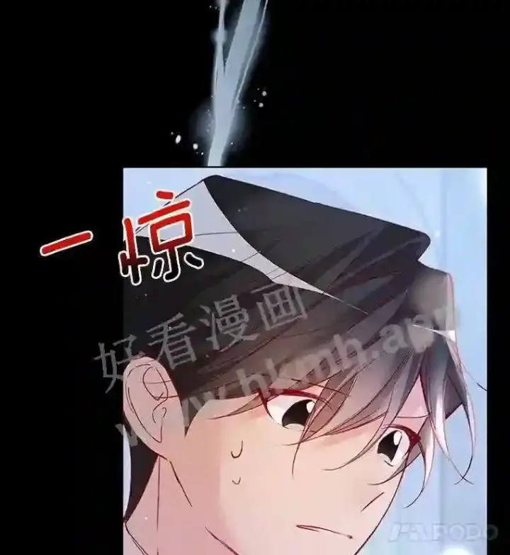 《龙套大公子妃的花路人生》6.两人相见图33