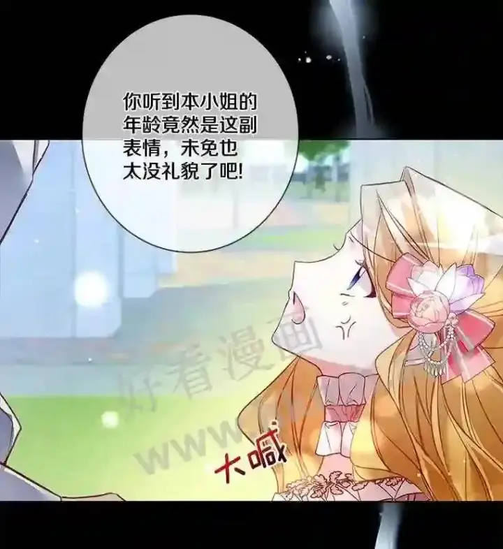 《龙套大公子妃的花路人生》6.两人相见图35