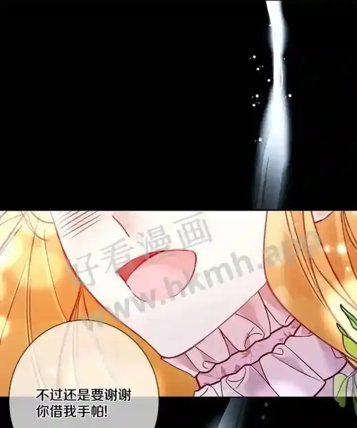 《龙套大公子妃的花路人生》6.两人相见图36