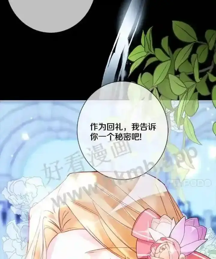 《龙套大公子妃的花路人生》6.两人相见图37