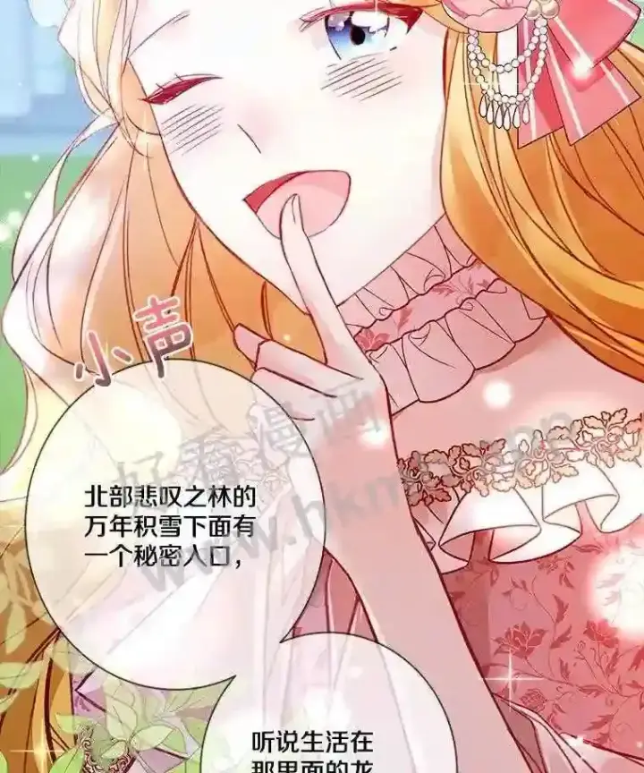 《龙套大公子妃的花路人生》6.两人相见图38