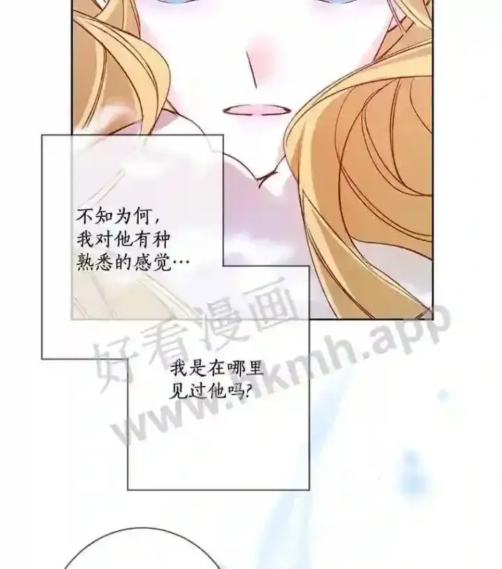 《龙套大公子妃的花路人生》6.两人相见图42