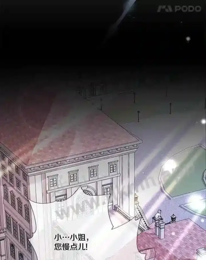《龙套大公子妃的花路人生》6.两人相见图8