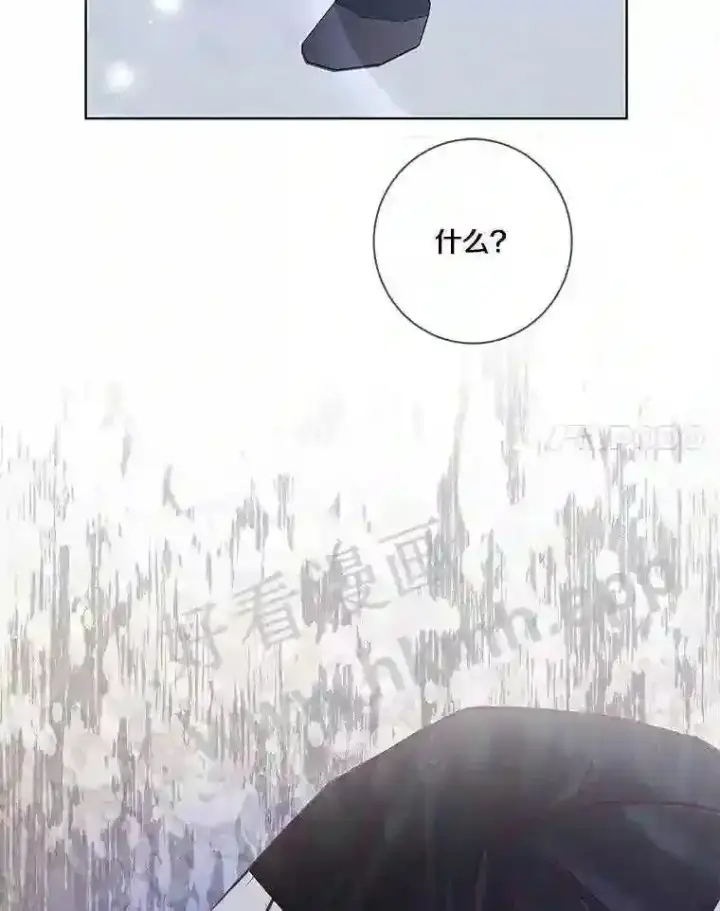 《龙套大公子妃的花路人生》6.两人相见图83