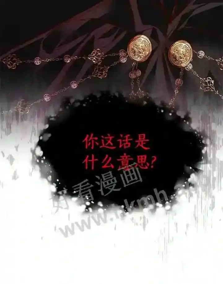 《龙套大公子妃的花路人生》6.两人相见图85