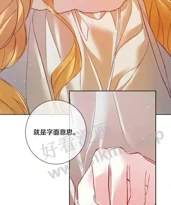 《龙套大公子妃的花路人生》6.两人相见图87