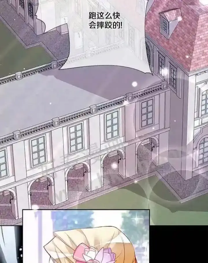 《龙套大公子妃的花路人生》6.两人相见图9