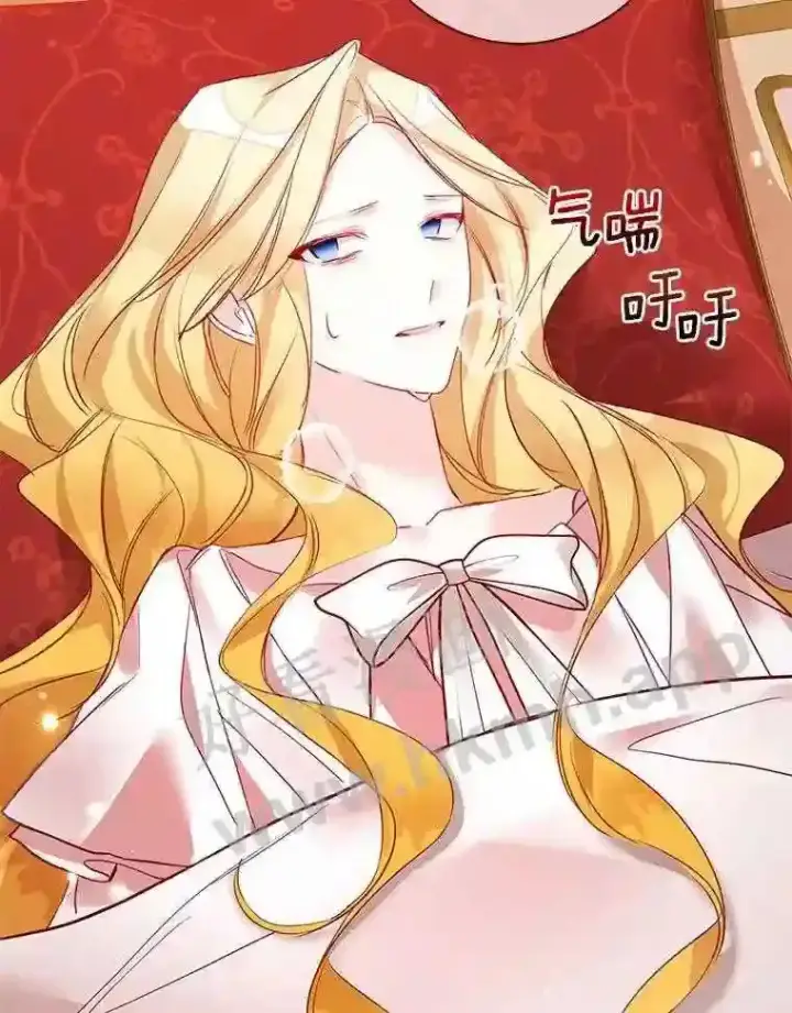 《龙套大公子妃的花路人生》7.北部有些奇怪图13