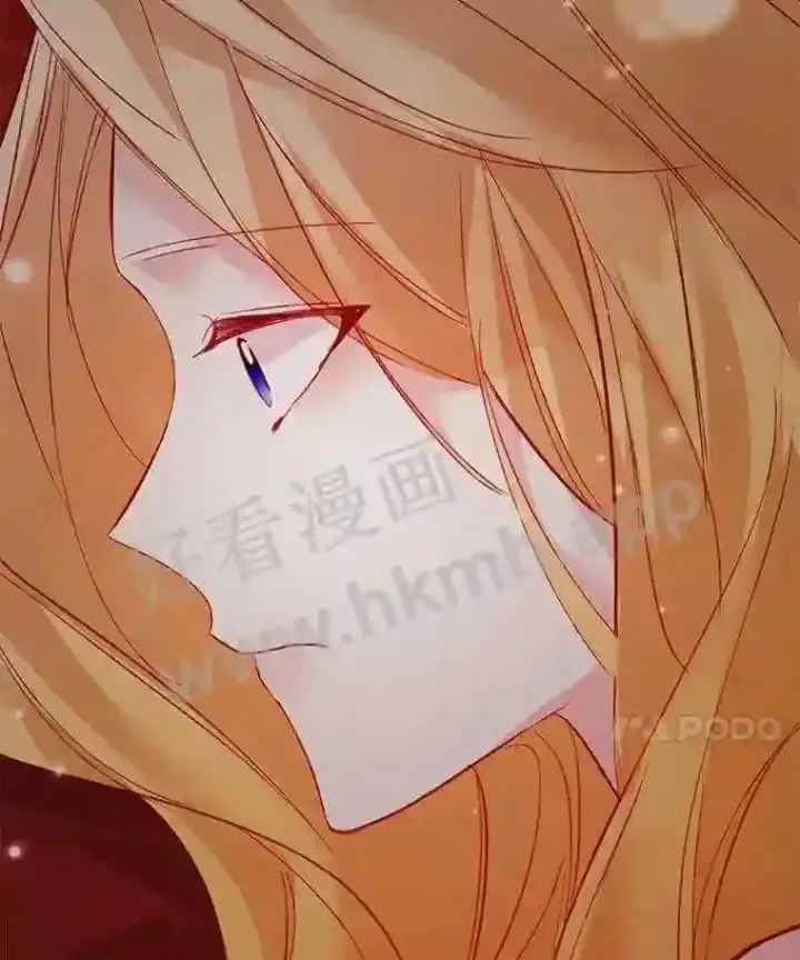 《龙套大公子妃的花路人生》7.北部有些奇怪图131