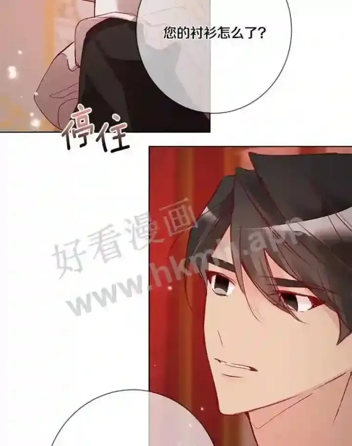 《龙套大公子妃的花路人生》8.大公子妃的义务图108