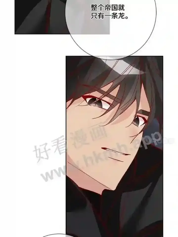 《龙套大公子妃的花路人生》13.药的来历图10