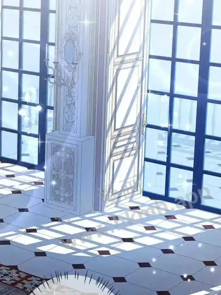 《龙套大公子妃的花路人生》13.药的来历图105