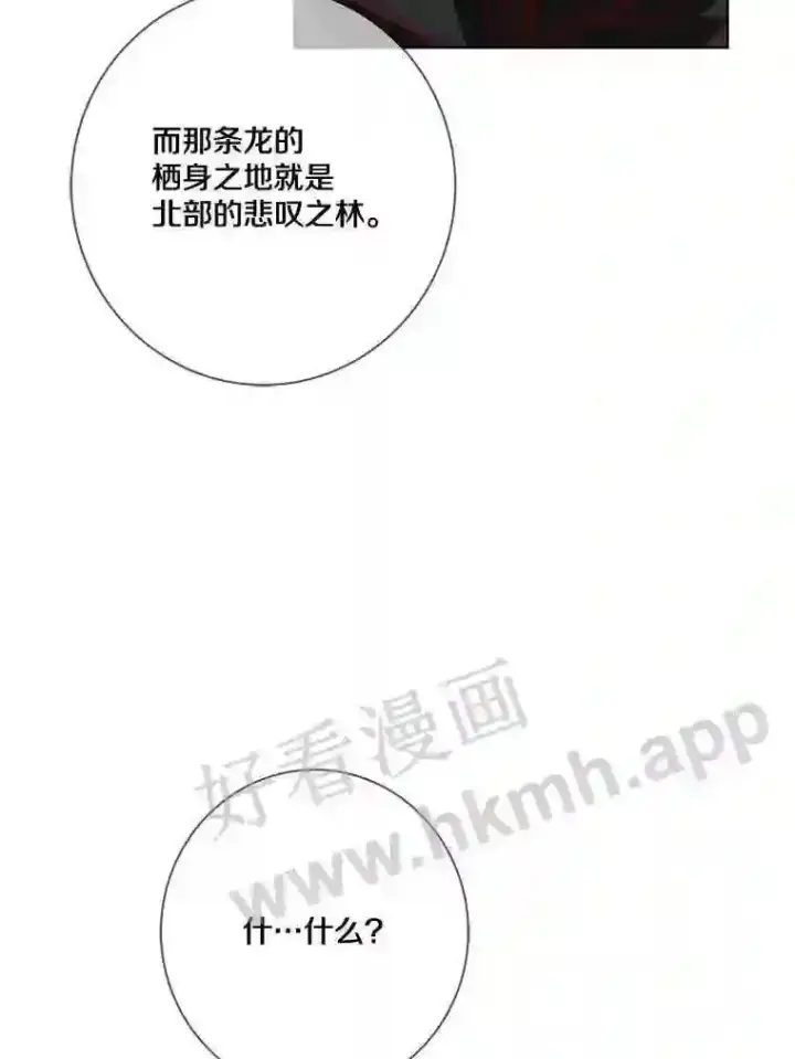 《龙套大公子妃的花路人生》13.药的来历图11