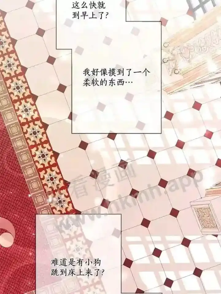《龙套大公子妃的花路人生》13.药的来历图111