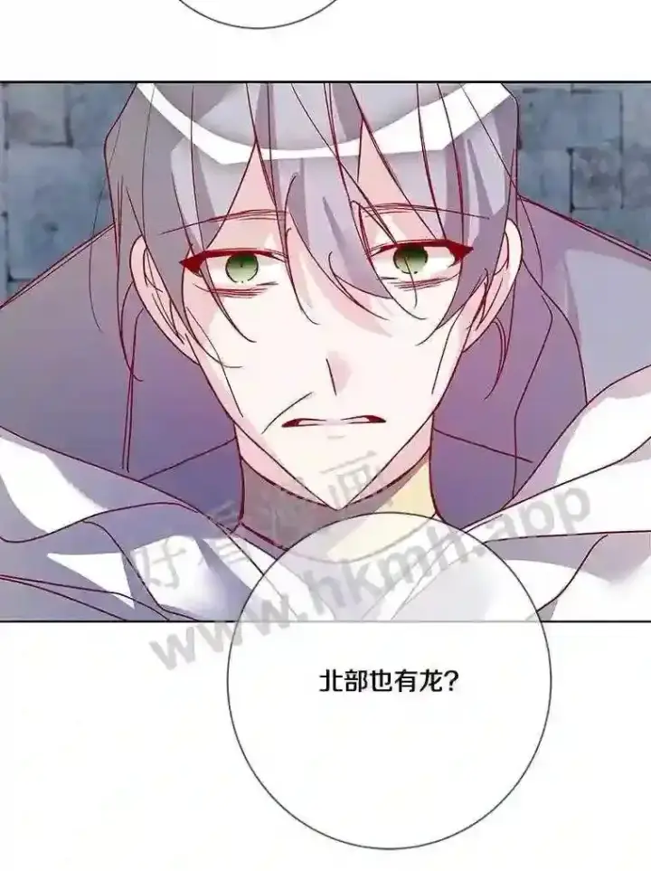 《龙套大公子妃的花路人生》13.药的来历图12
