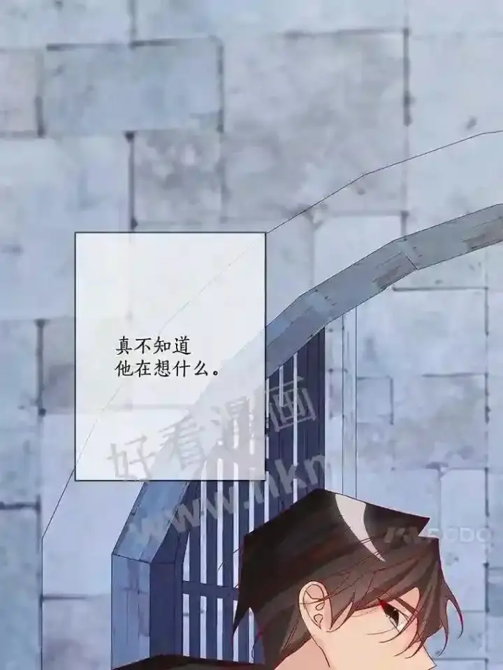 《龙套大公子妃的花路人生》13.药的来历图13