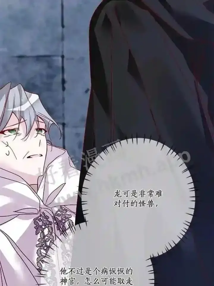 《龙套大公子妃的花路人生》13.药的来历图3