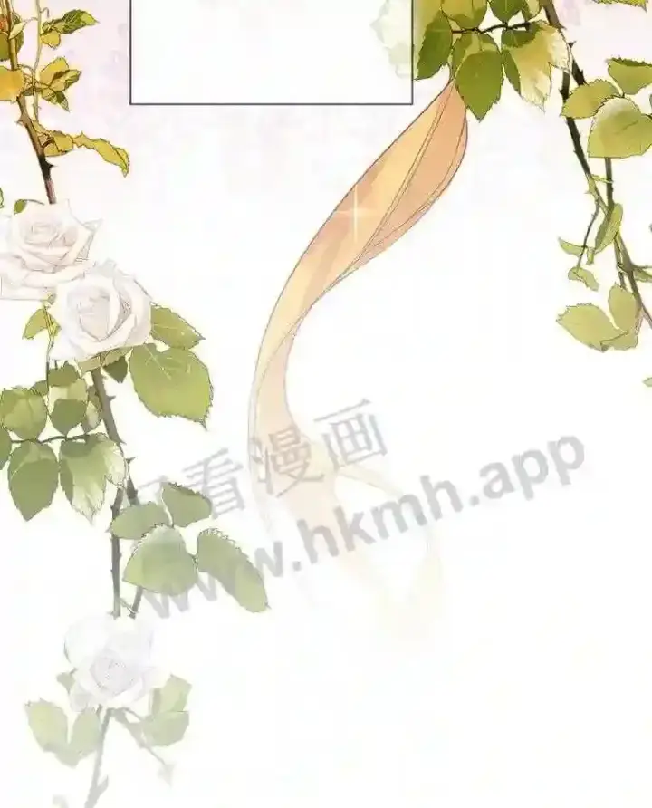 《龙套大公子妃的花路人生》13.药的来历图70