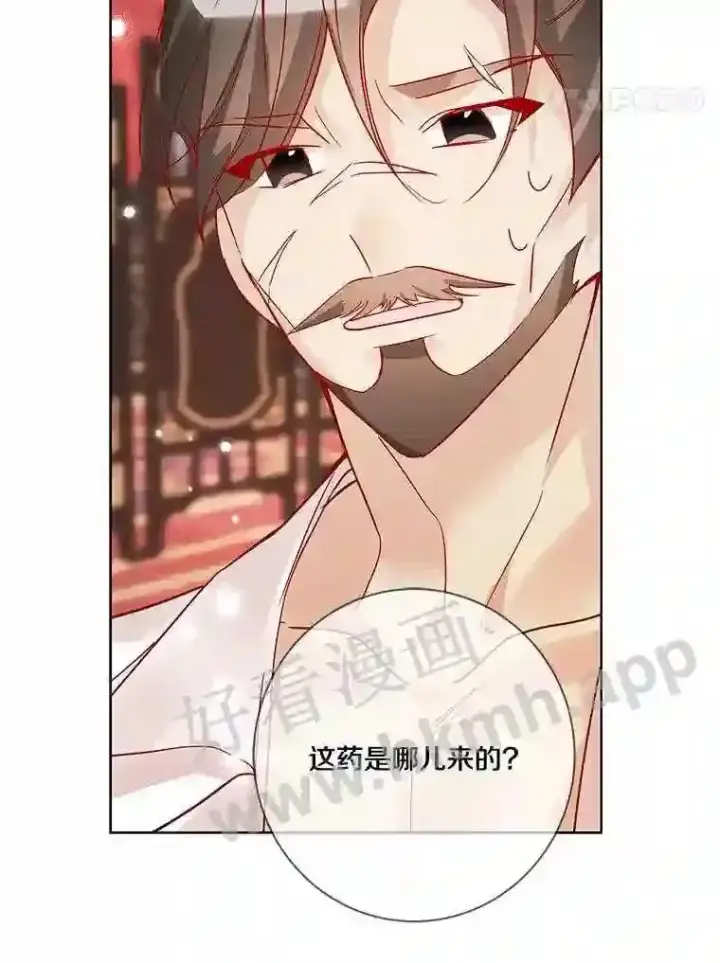 《龙套大公子妃的花路人生》13.药的来历图79