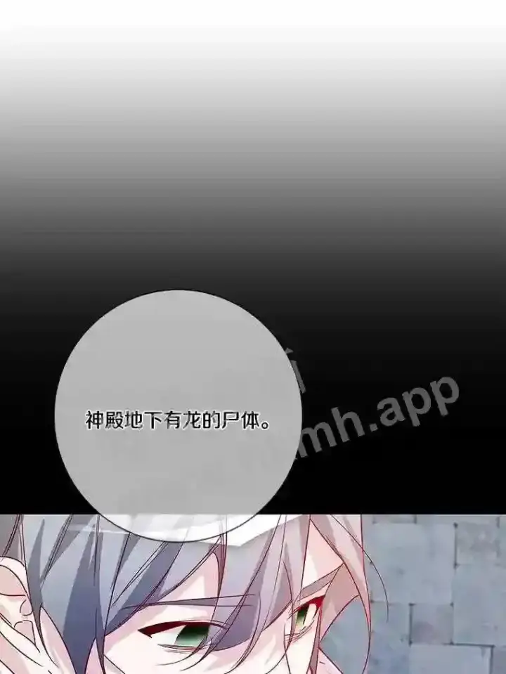 《龙套大公子妃的花路人生》13.药的来历图80