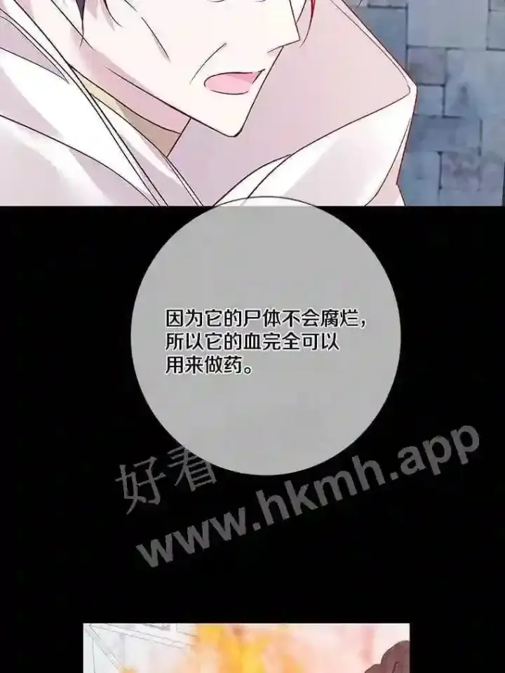 《龙套大公子妃的花路人生》13.药的来历图81