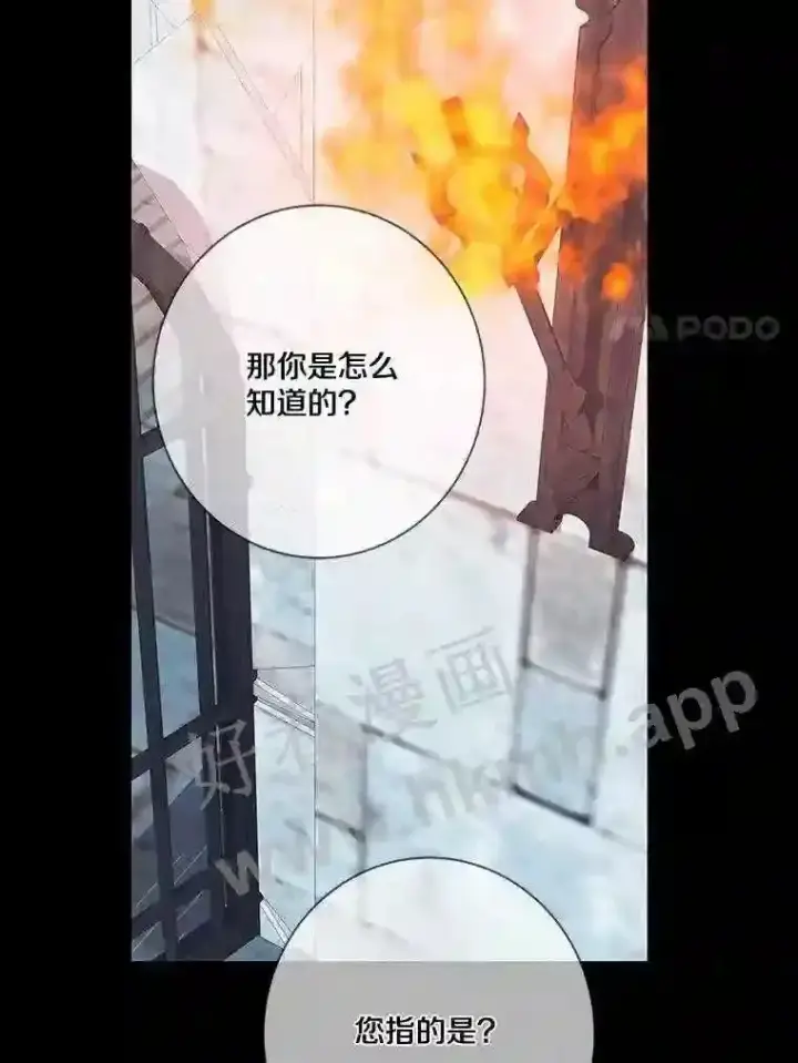 《龙套大公子妃的花路人生》13.药的来历图82