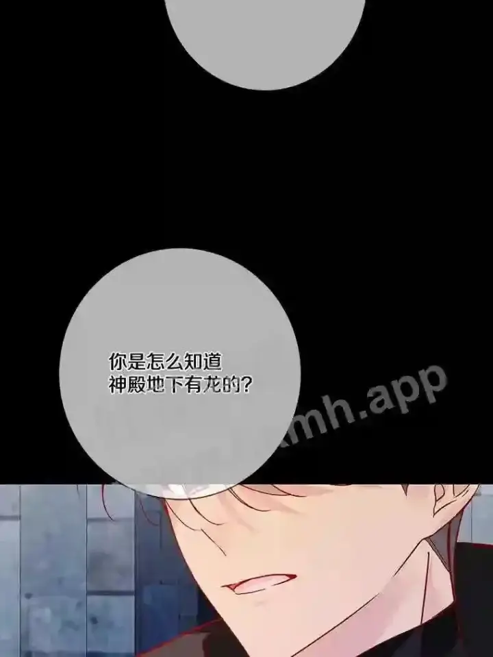 《龙套大公子妃的花路人生》13.药的来历图83