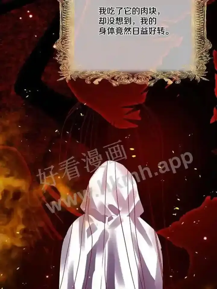 《龙套大公子妃的花路人生》13.药的来历图89