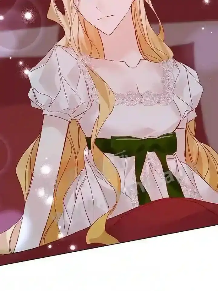 《龙套大公子妃的花路人生》16.出发去悲鸣谷图12