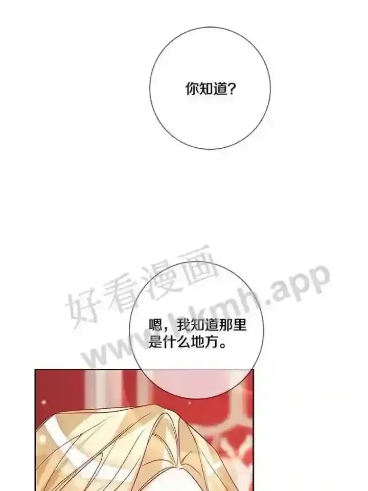 《龙套大公子妃的花路人生》16.出发去悲鸣谷图40