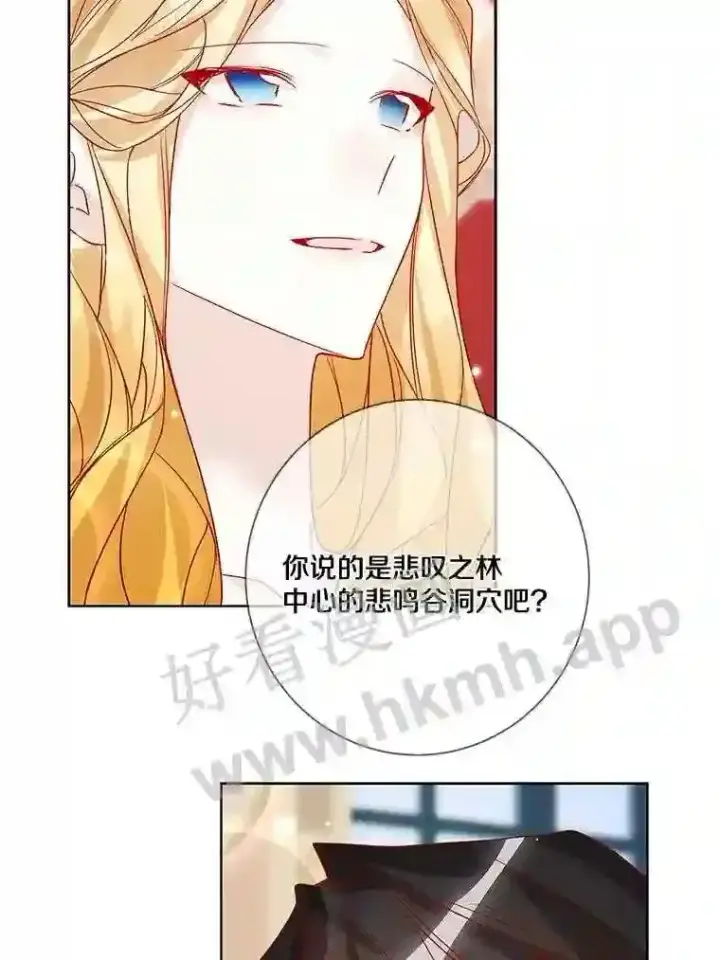 《龙套大公子妃的花路人生》16.出发去悲鸣谷图41