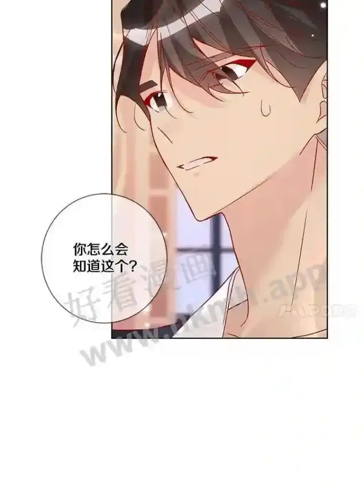 《龙套大公子妃的花路人生》16.出发去悲鸣谷图42