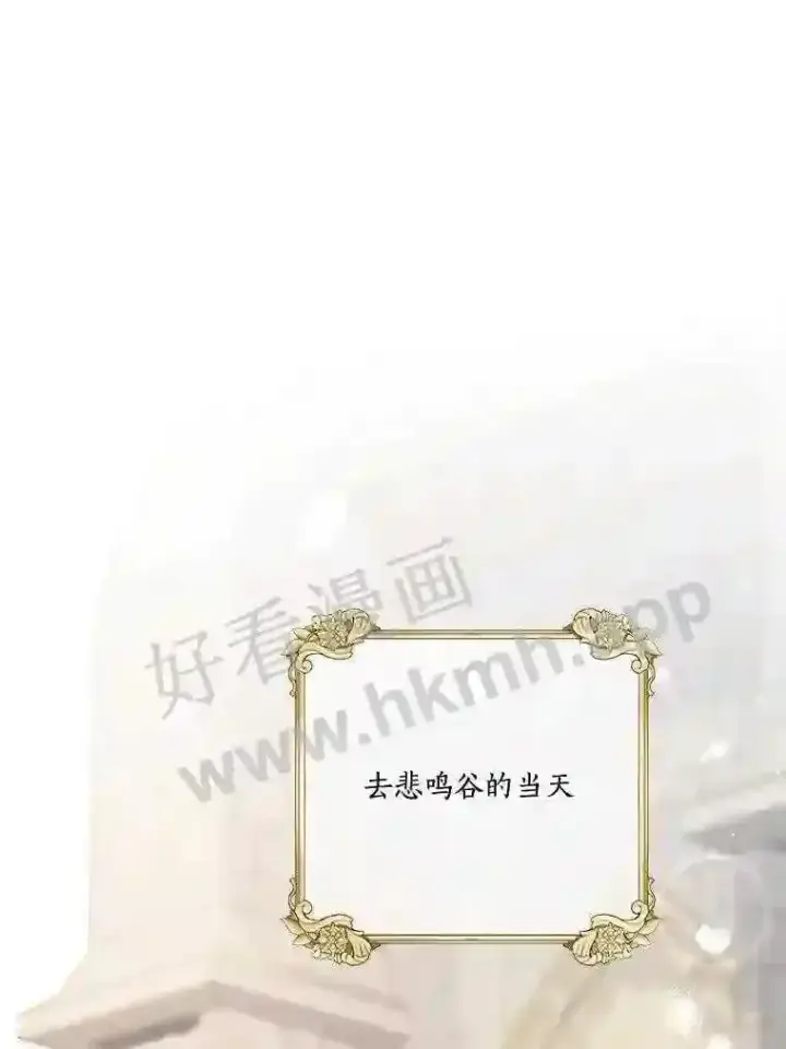 《龙套大公子妃的花路人生》16.出发去悲鸣谷图60
