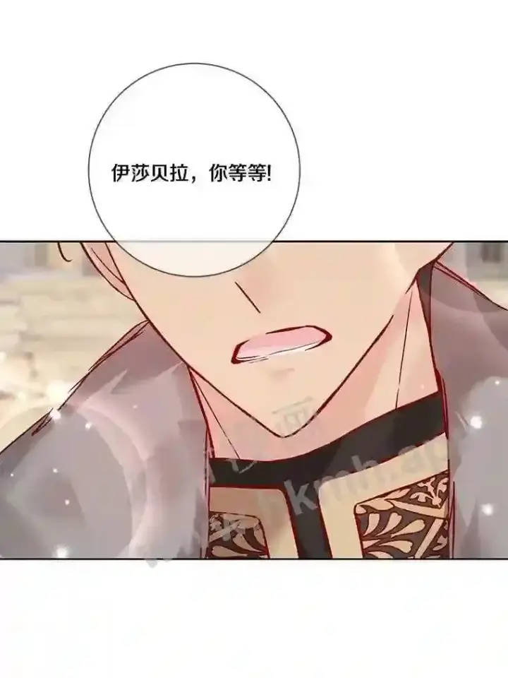 《龙套大公子妃的花路人生》16.出发去悲鸣谷图63