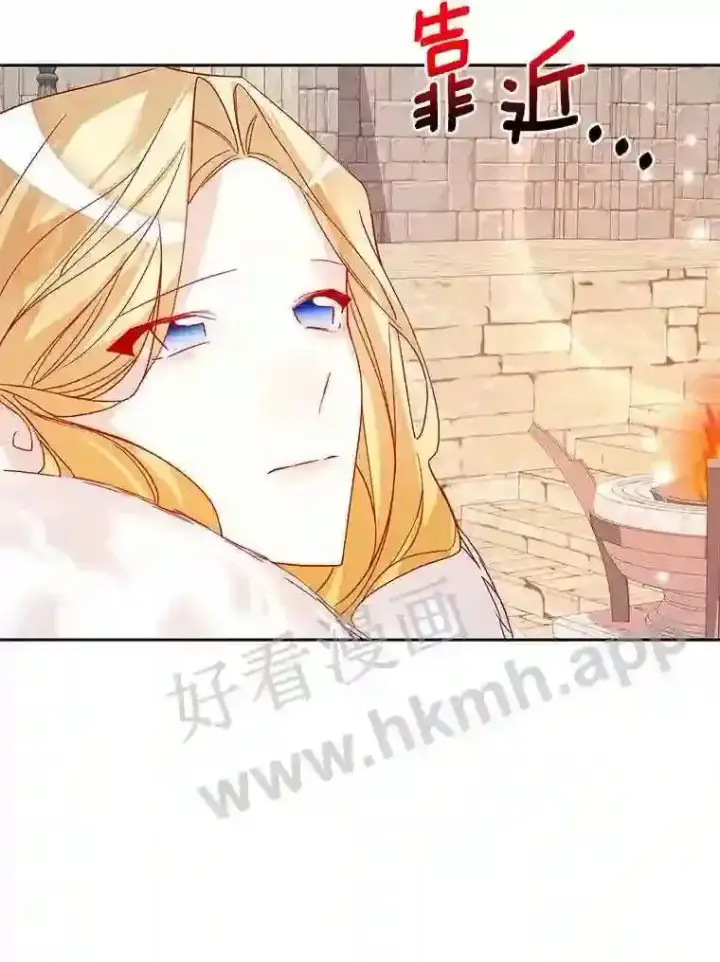 《龙套大公子妃的花路人生》16.出发去悲鸣谷图77