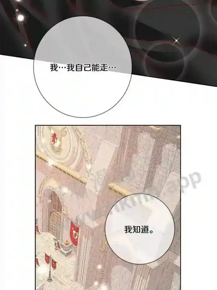 《龙套大公子妃的花路人生》16.出发去悲鸣谷图80