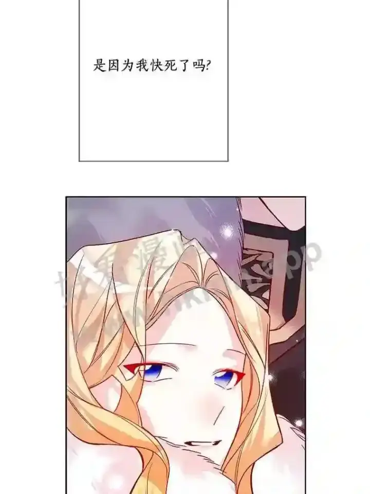 《龙套大公子妃的花路人生》17.突如其来的求婚图71