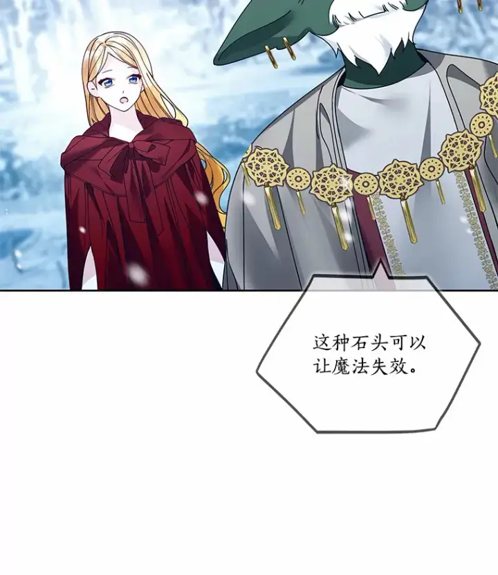 《龙套大公子妃的花路人生》45.魔力石图10