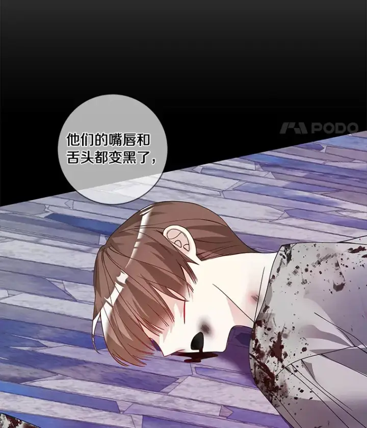 《龙套大公子妃的花路人生》45.魔力石图110