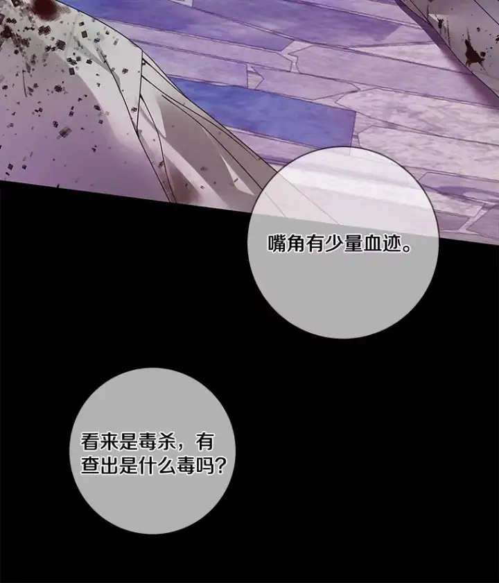 《龙套大公子妃的花路人生》45.魔力石图111