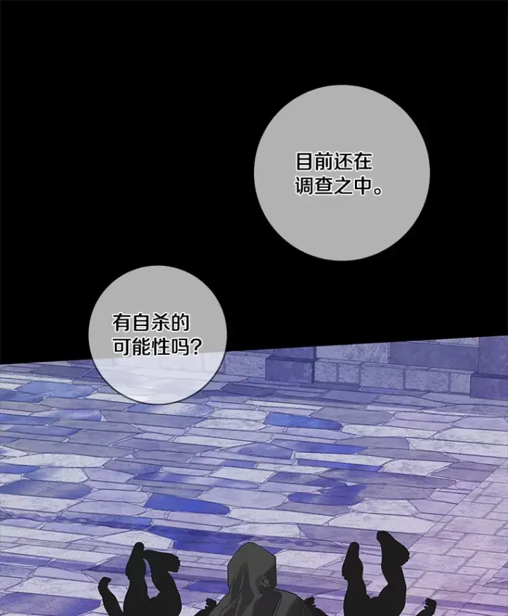 《龙套大公子妃的花路人生》45.魔力石图112